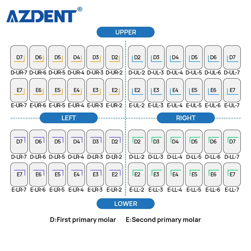 Dental Kids Primary Molar Crowns with Good Durability Plasticity and Extensibility Preformed Metal Crown Pediatric Crown 48 Sizes 5PCS /Box