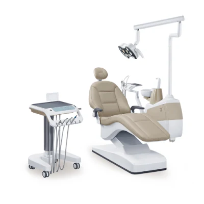 Hochwertige Ce- und ISO-zugelassene Dentalstühle. Top-Dentalprodukte/Belmont-Dentalstühle, Preise/Kieferorthopädische Dentalinstrumente